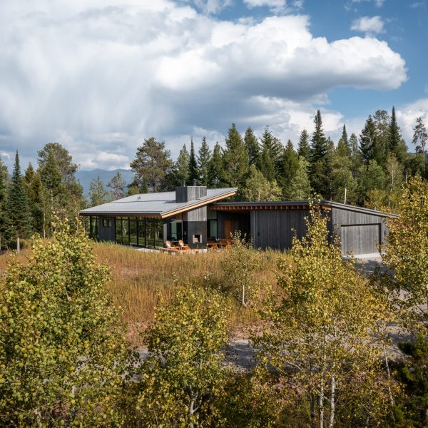 10384tabbytrail_fullgallery_fullres-14