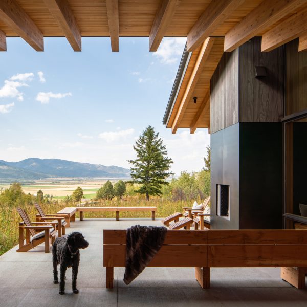 10384tabbytrail_fullgallery_fullres-9